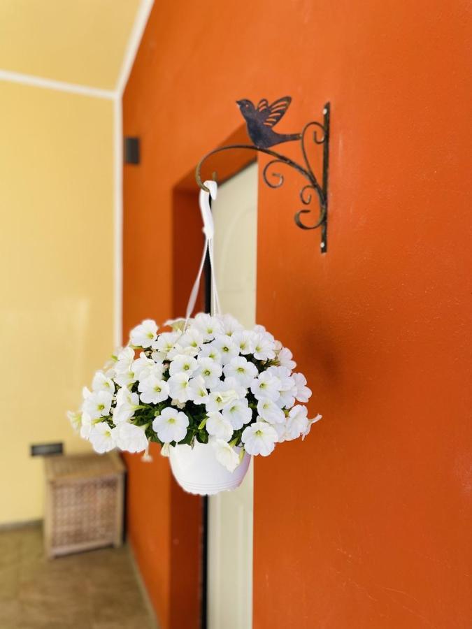 Il Giardino Di Iole Via Giovanni Amendola N36 * Sassari