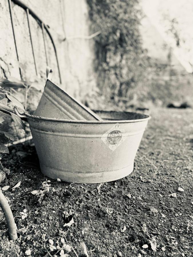 Bed and breakfast Il Giardino Di Iole Via Giovanni Amendola N36 *