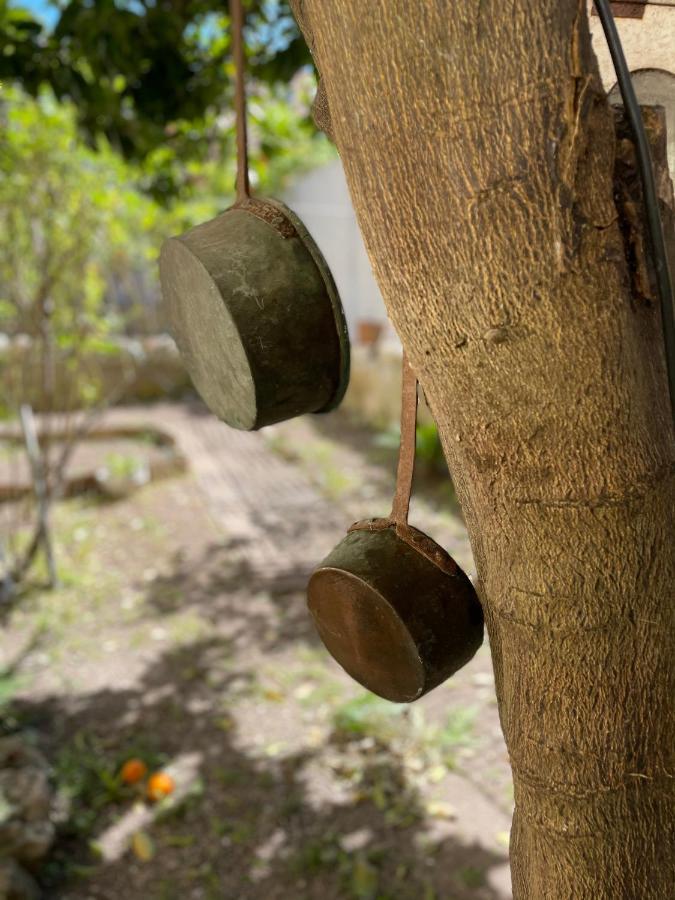 Il Giardino Di Iole Via Giovanni Amendola N36 Alojamento de Acomodação e Pequeno-almoço *
