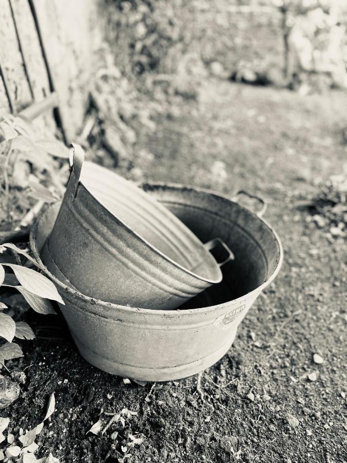 Alojamento de Acomodação e Pequeno-almoço Il Giardino Di Iole Via Giovanni Amendola N36 *